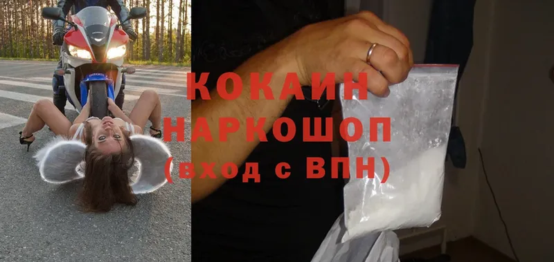 OMG   купить наркоту  Курганинск  Cocaine Боливия 